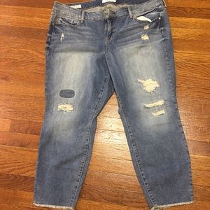 Torrid BRANDNEW skinny jean